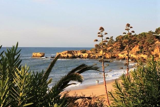 Sunny Apartment Close To The Beach Albufeira Eksteriør bilde